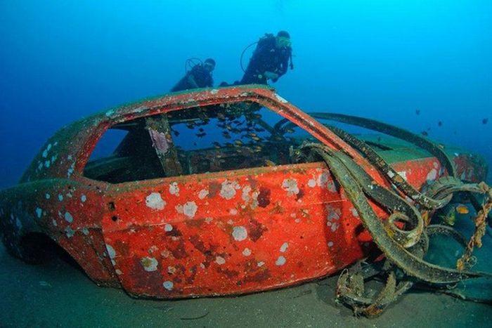 Рифы из затопленных автомобилей (28 фото)