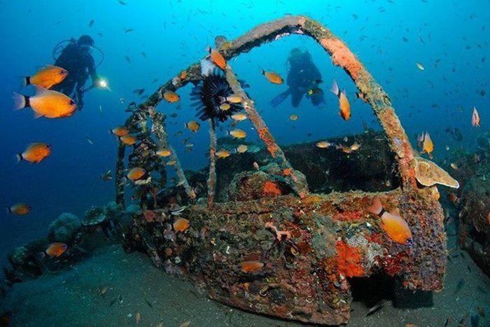 Рифы из затопленных автомобилей (28 фото)