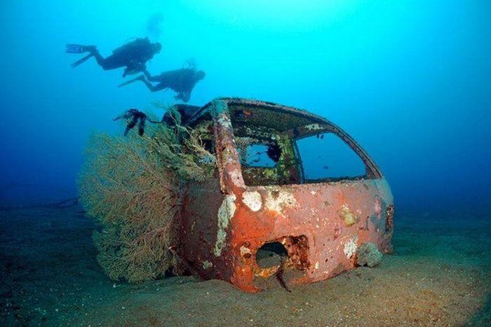Рифы из затопленных автомобилей (28 фото)