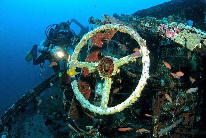 Рифы из затопленных автомобилей (28 фото)