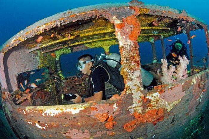 Рифы из затопленных автомобилей (28 фото)