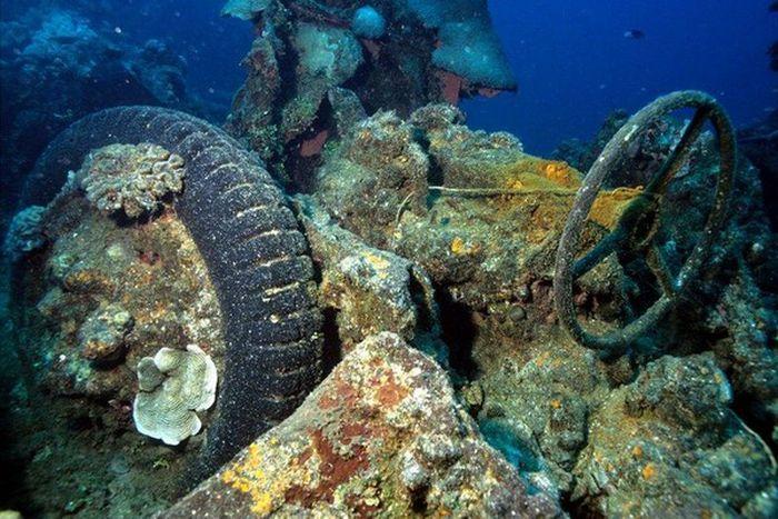 Рифы из затопленных автомобилей (28 фото)