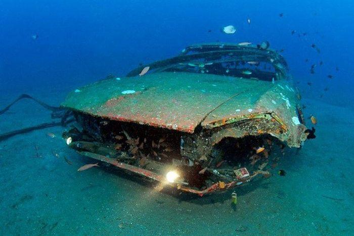 Рифы из затопленных автомобилей (28 фото)
