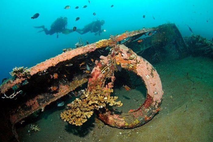 Рифы из затопленных автомобилей (28 фото)