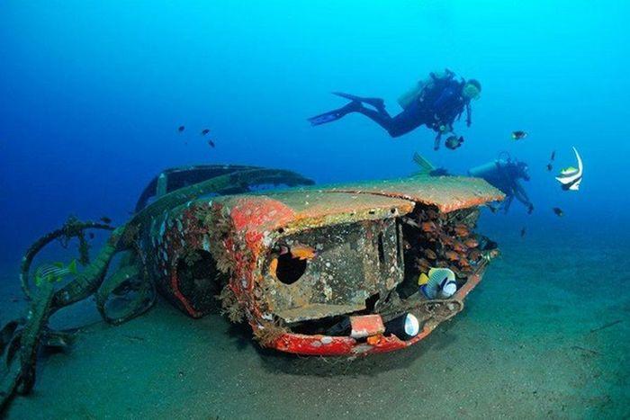 Рифы из затопленных автомобилей (28 фото)