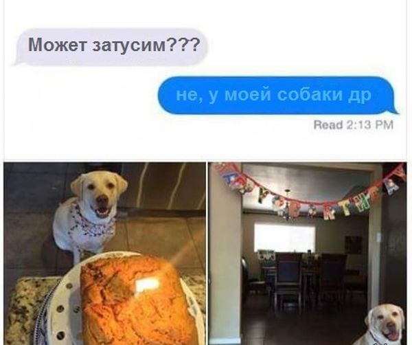 Порция картинок