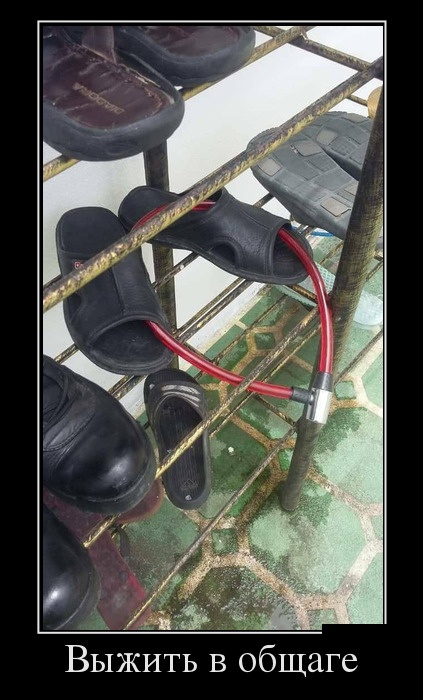 Демотиваторы