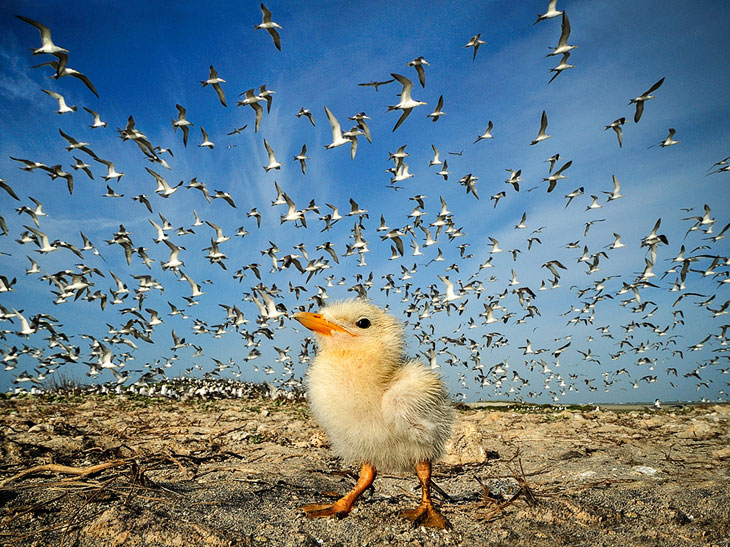 National Geographic: лучшие фотографии октября National Geographic: лучшие фотографии октября