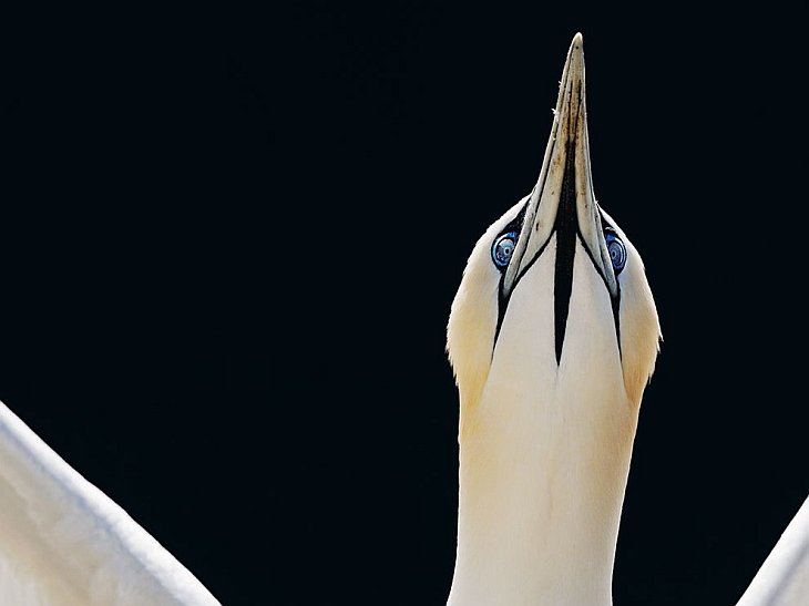 National Geographic: лучшие фотографии октября National Geographic: лучшие фотографии октября