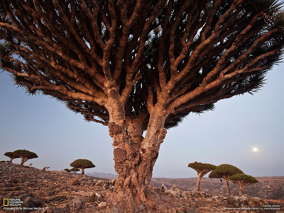 National Geographic: лучшие фотографии октября National Geographic: лучшие фотографии октября