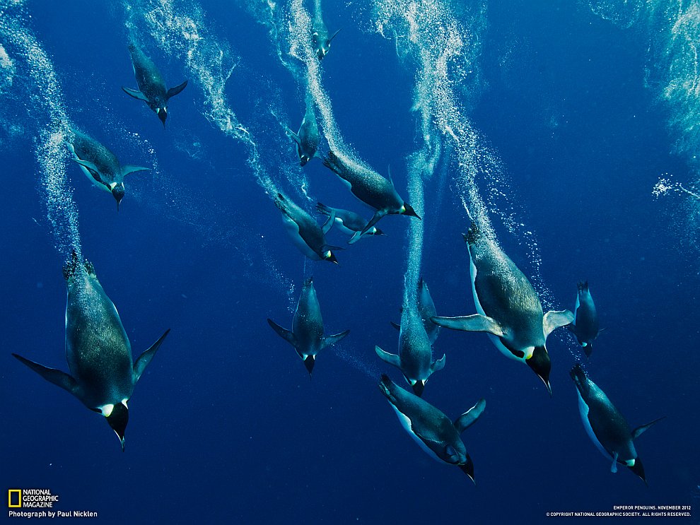National Geographic: лучшие фотографии октября National Geographic: лучшие фотографии октября