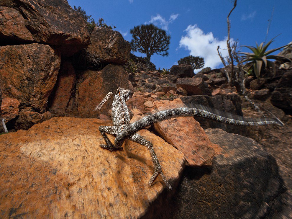 National Geographic: лучшие фотографии октября National Geographic: лучшие фотографии октября