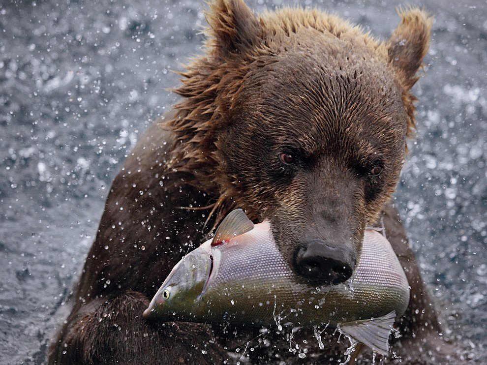 National Geographic: лучшие фотографии октября National Geographic: лучшие фотографии октября