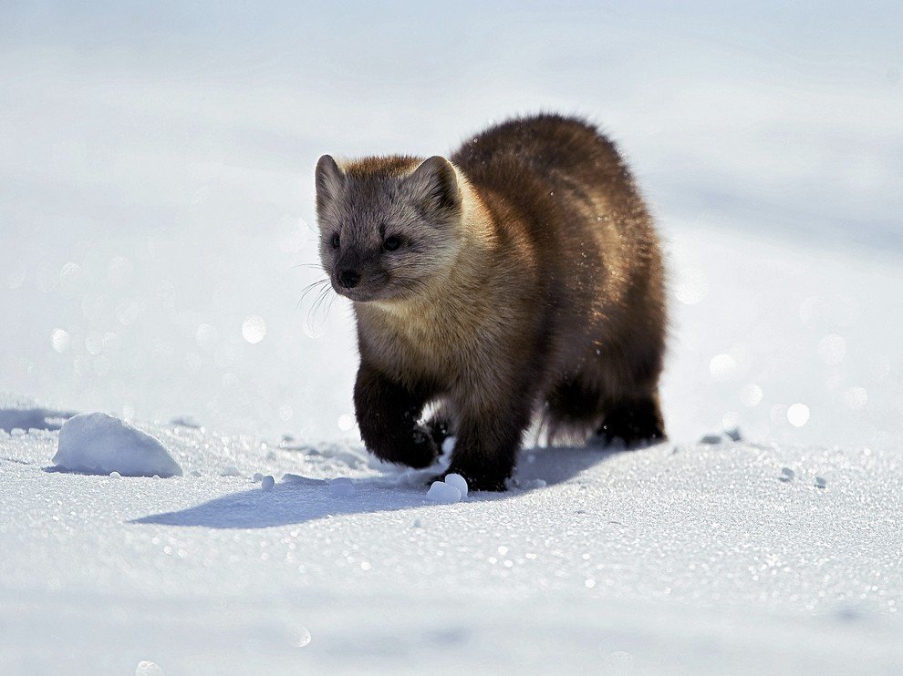 National Geographic: лучшие фотографии октября National Geographic: лучшие фотографии октября