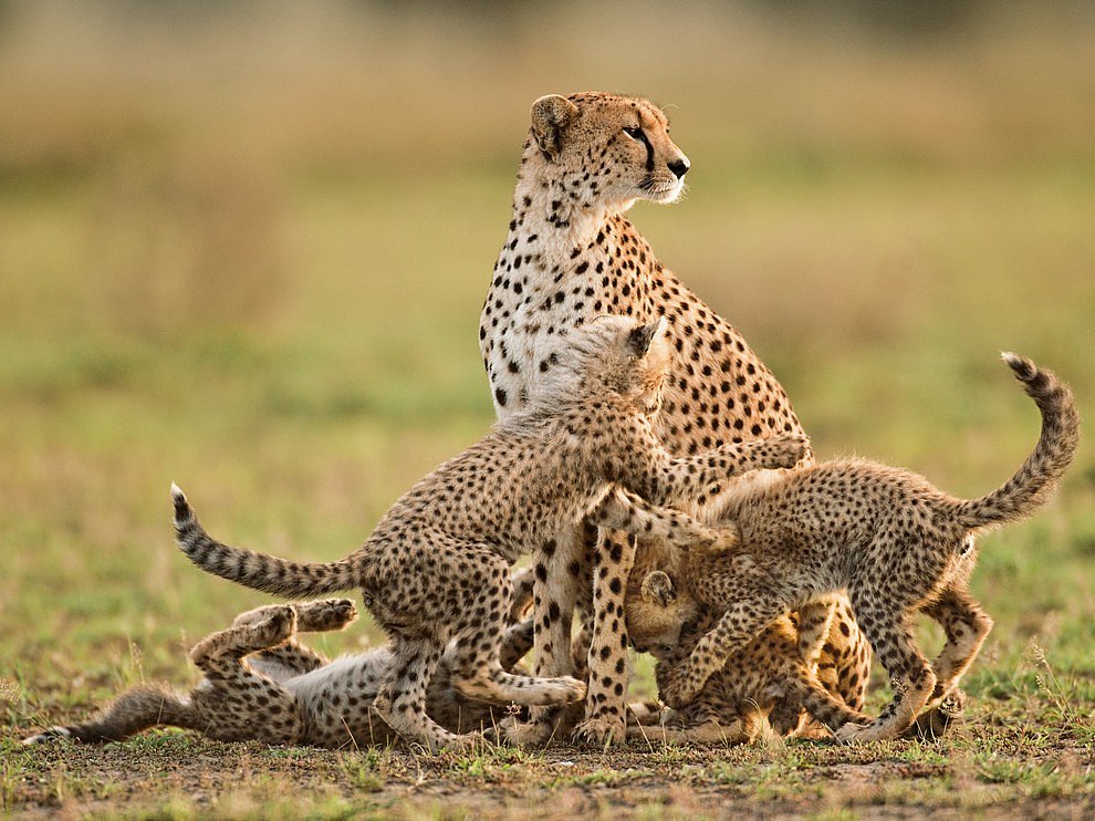 National Geographic: лучшие фотографии октября National Geographic: лучшие фотографии октября