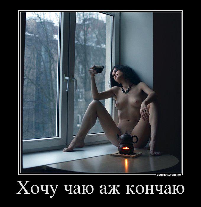 Демотиваторы (58 фото)