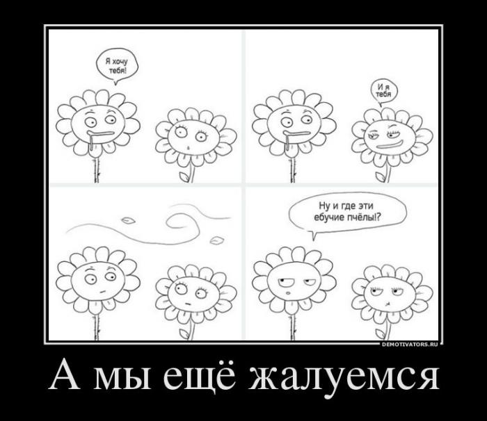 Демотиваторы (58 фото)