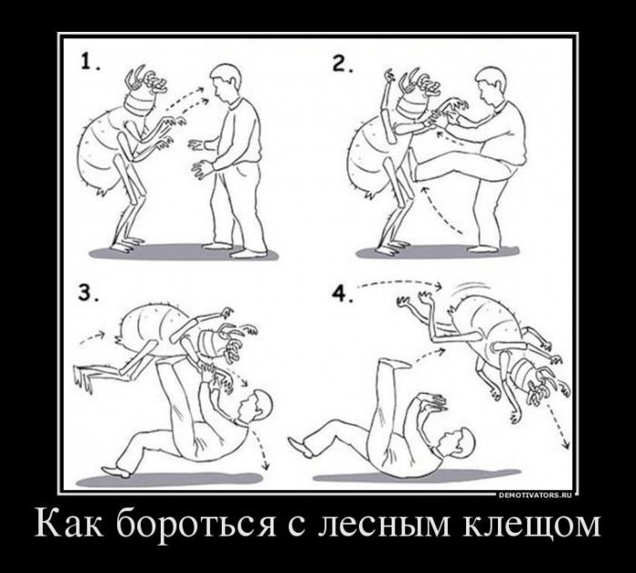 Демотиваторы (58 фото)