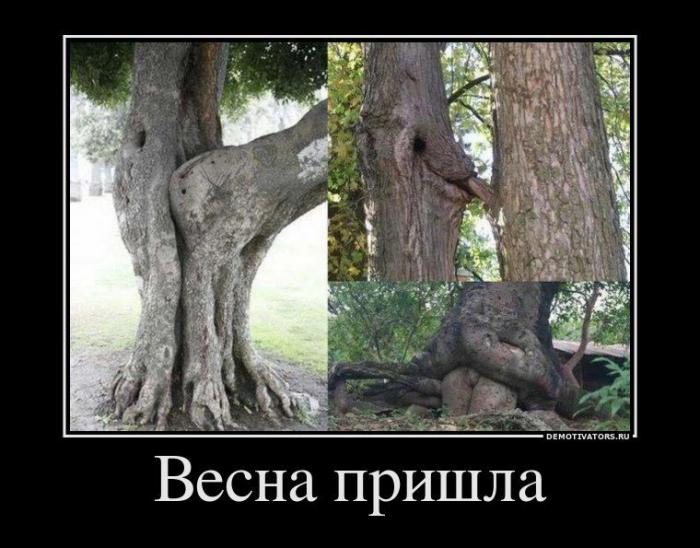 Демотиваторы (58 фото)