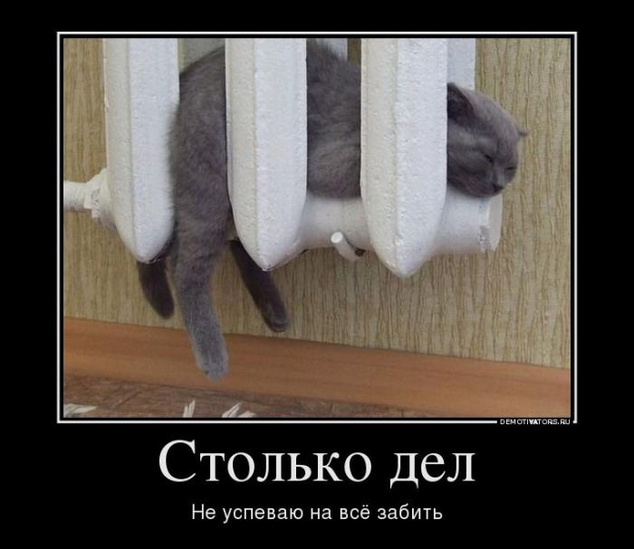 Демотиваторы (58 фото)
