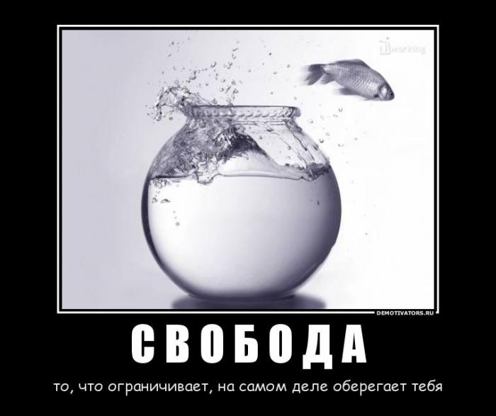 Демотиваторы (58 фото)