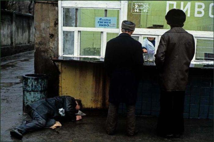 Прикольные картинки (45 фото)