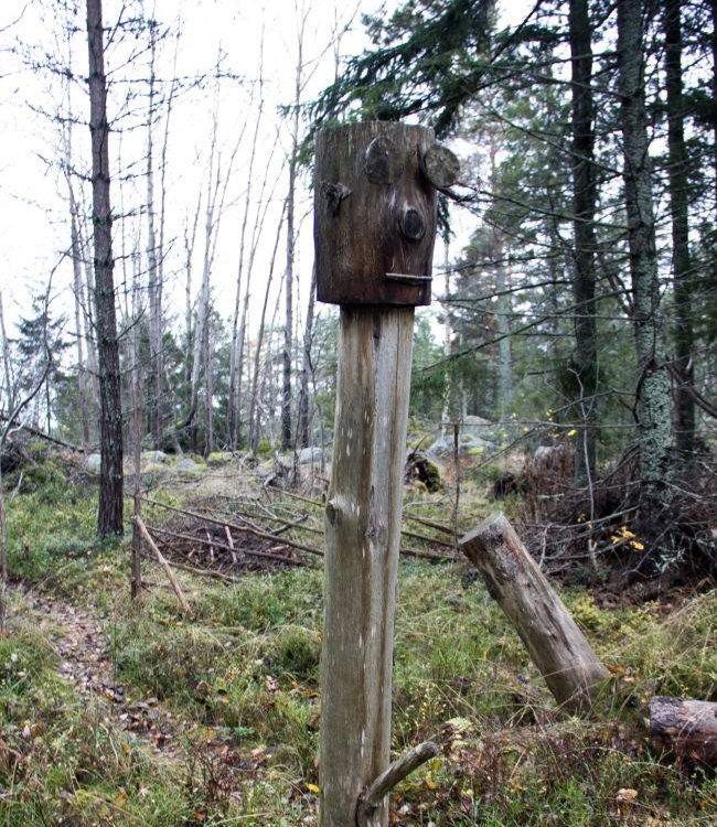 В тихом шведском лесу (4 фото)