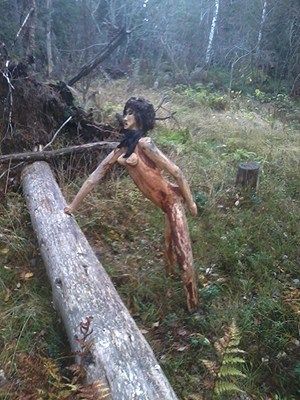В тихом шведском лесу (4 фото)
