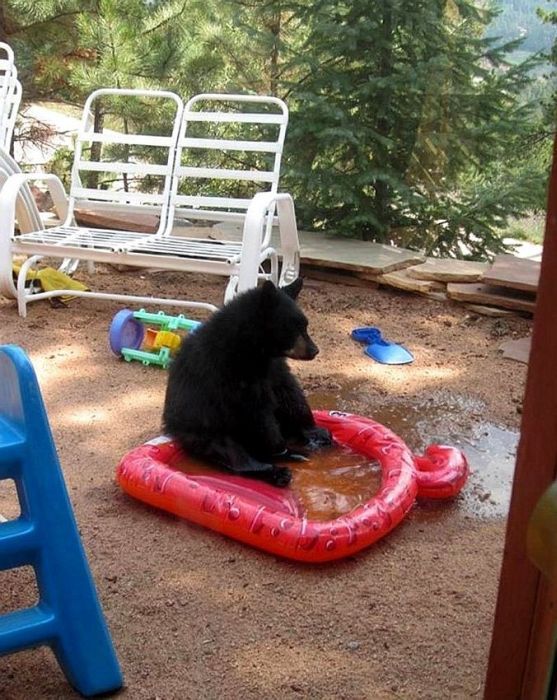 Прикольные картинки