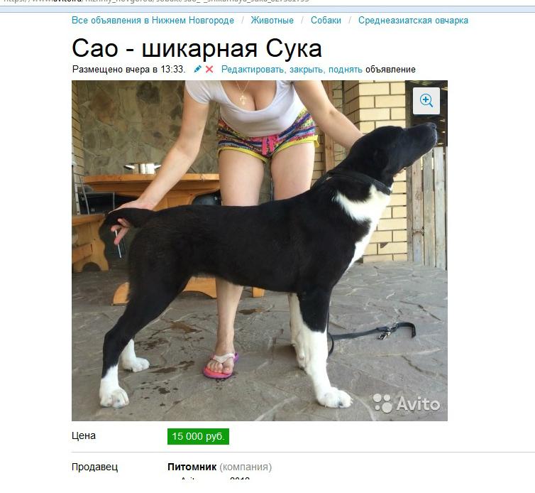 Люди говорят