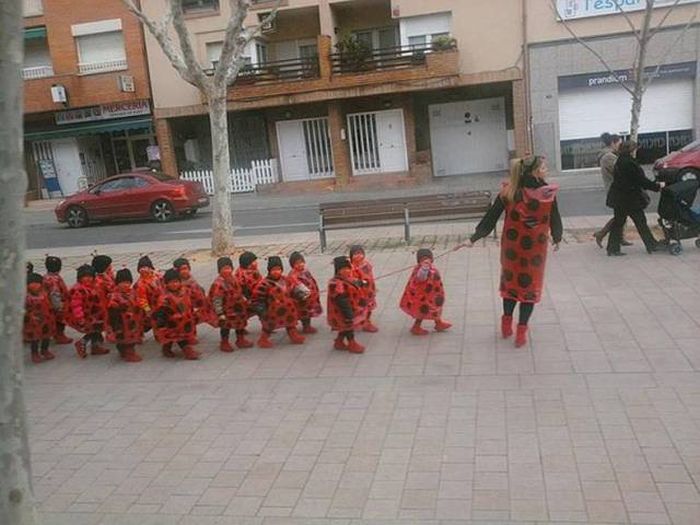 Прикольные картинки
