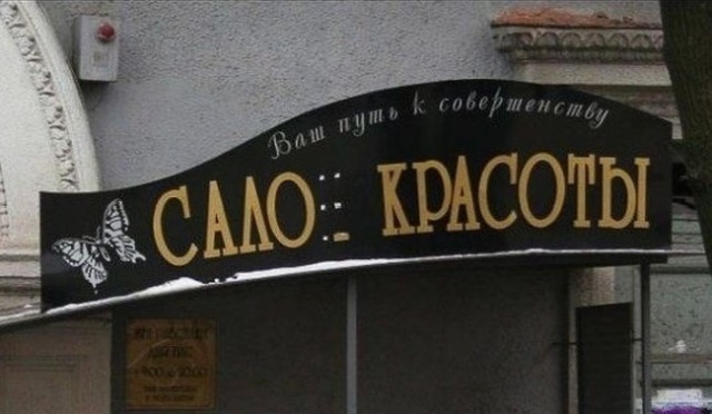 Прикольные картинки