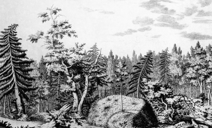 История и загадки Гром-камня