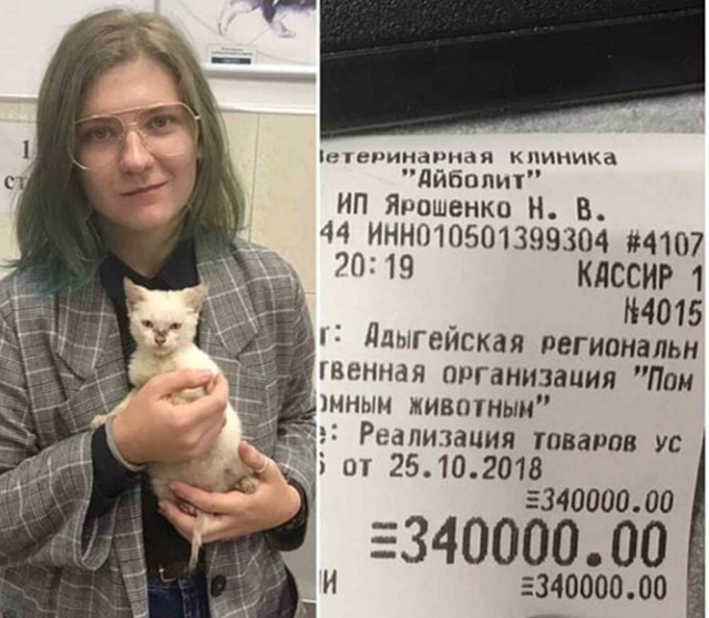 В Майкопе девушка решила финансовые проблемы приюта для животных
