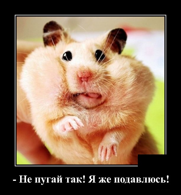 Демотиваторы