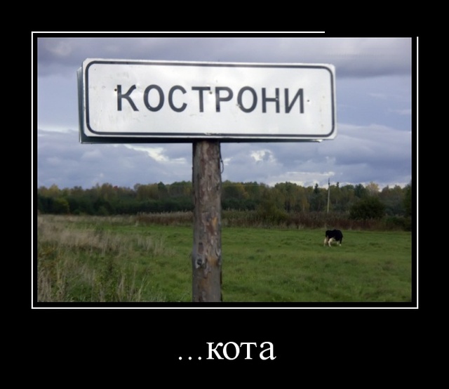 Демотиваторы