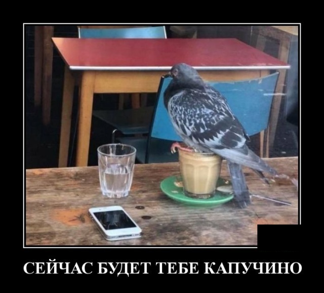 Демотиваторы