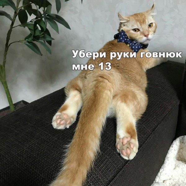 Нестандартный юмор с просторов сети