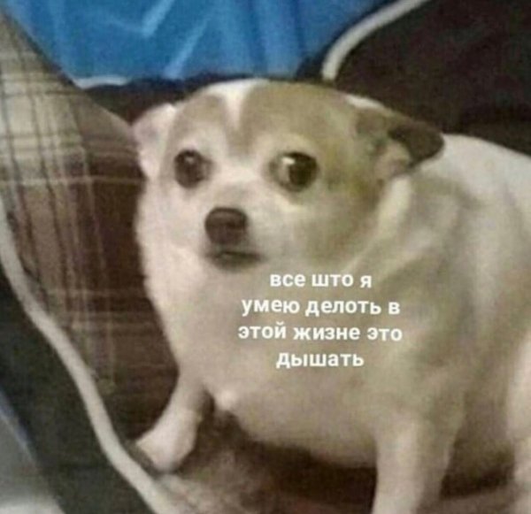 Нестандартный юмор с просторов сети