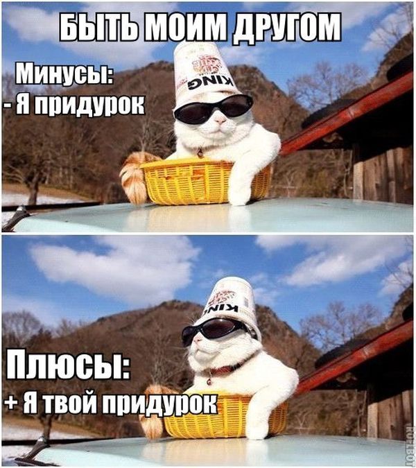 Прикольные картинки (58 фото)