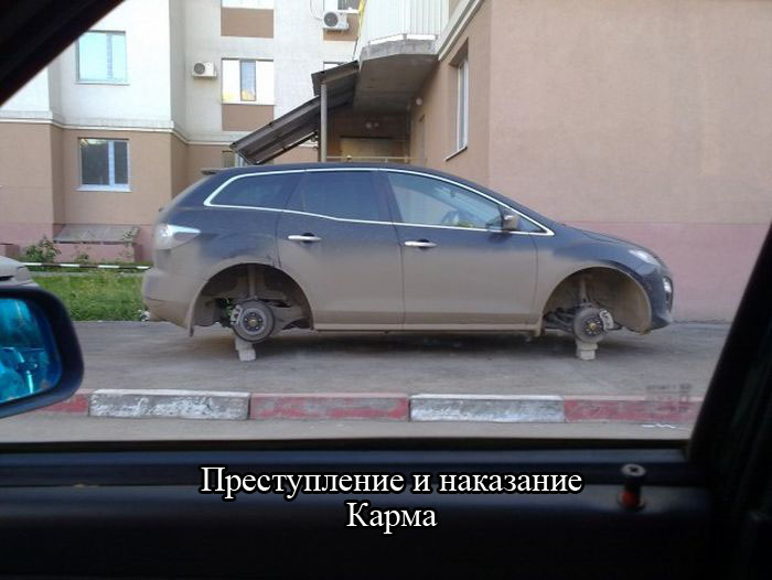 Прикольные картинки (58 фото)