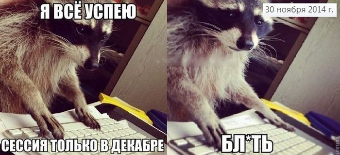Прикольные картинки (58 фото)