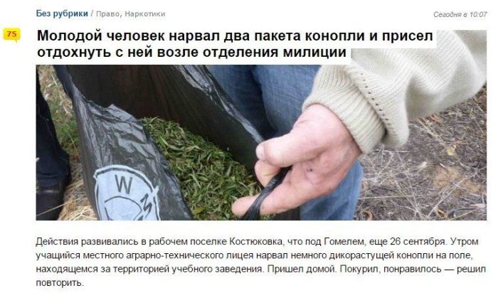 Прикольные картинки (58 фото)