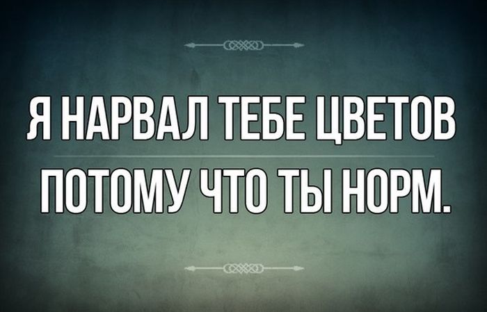 Прикольные картинки (58 фото)