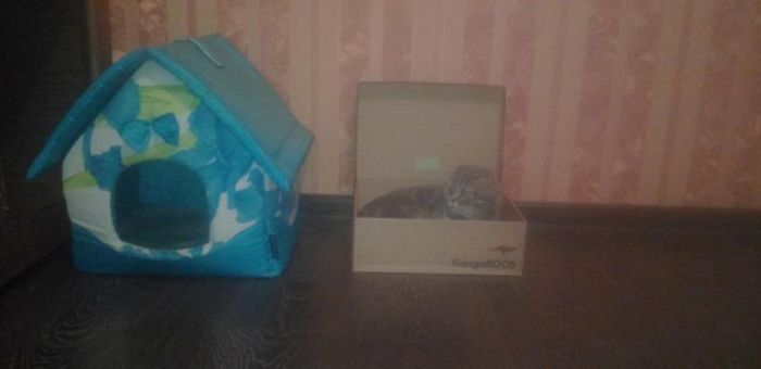Порция картинок