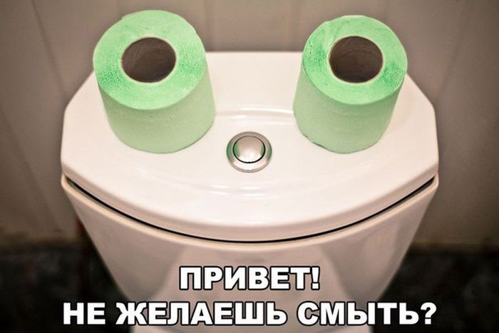 Порция картинок