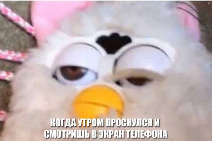 Порция картинок