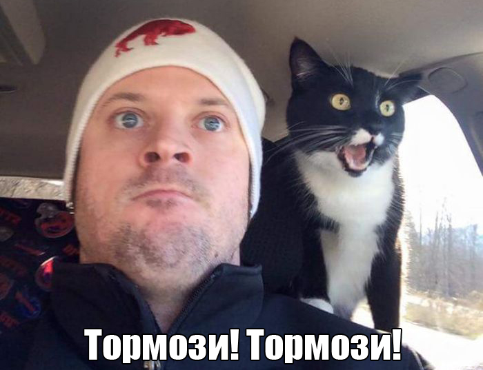 Порция картинок