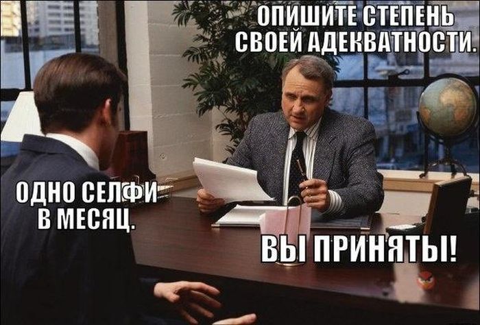 Порция картинок