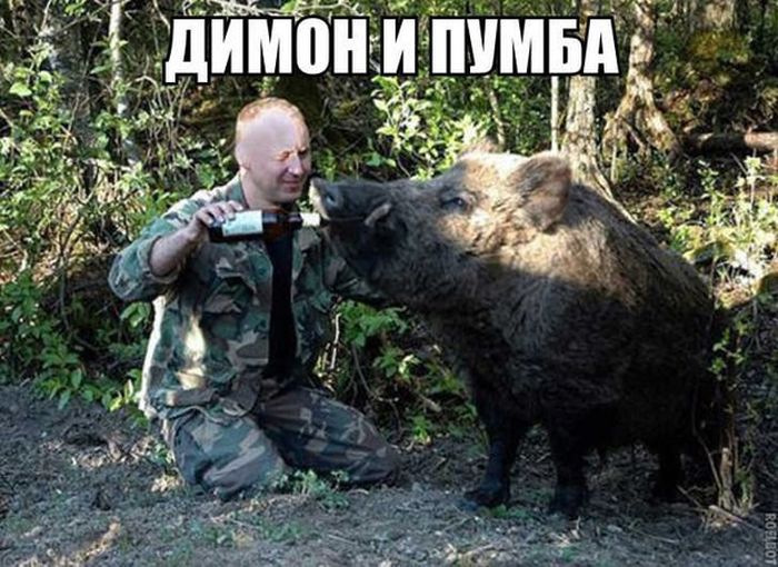 Порция картинок